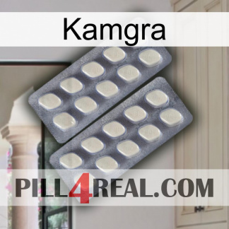 Kamgra 07
